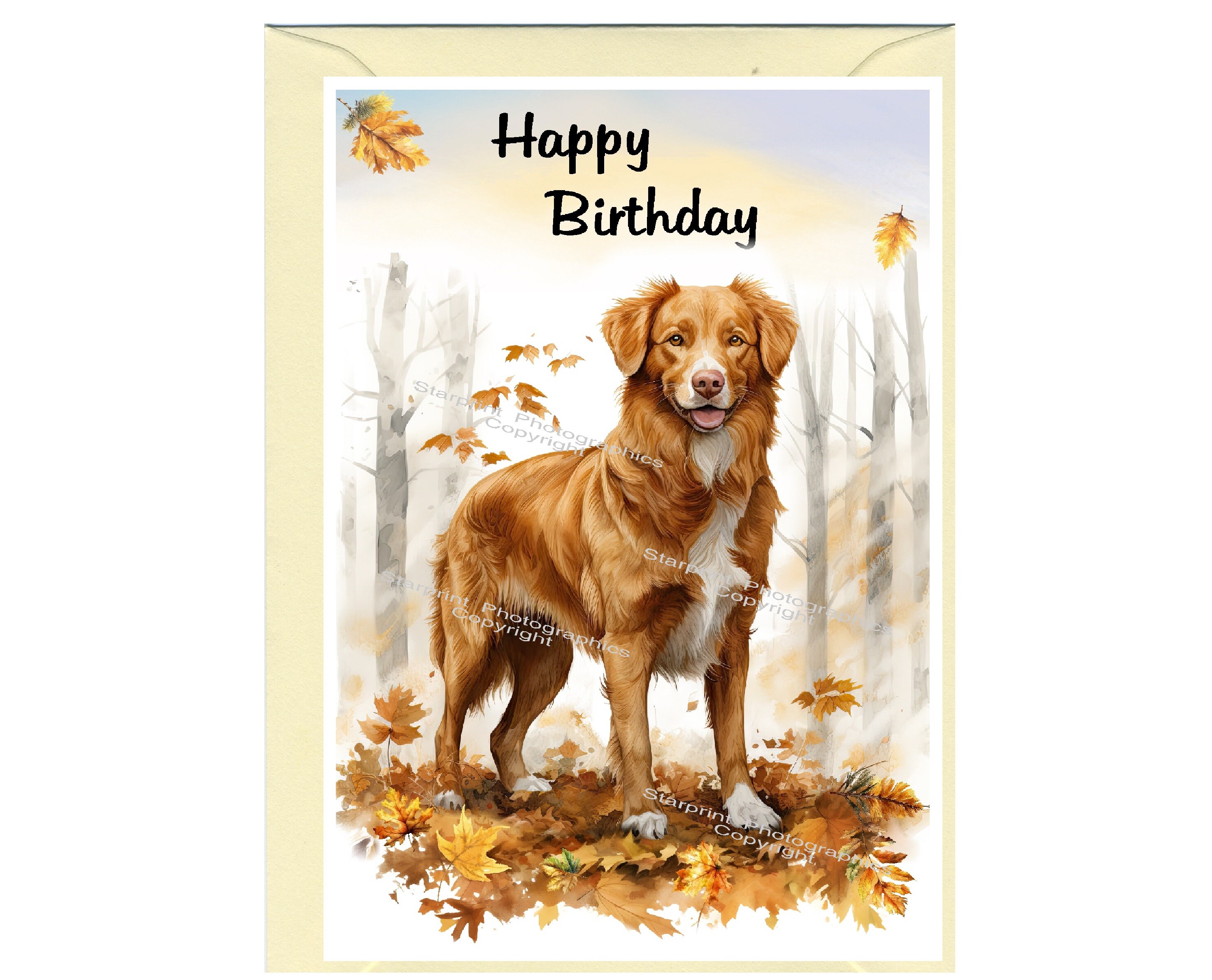 Nova Scotia Duck Tolling Retriever: Alles over dit hondenras Nova Scotia Duck Tolling Retriever: Alles over dit hondenras