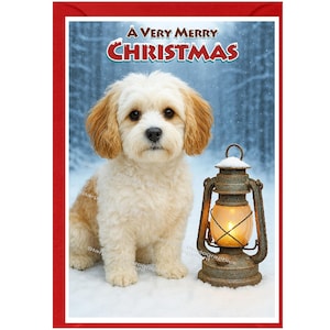 May include: A Christmas card with a red border, featuring a cream-coloured dog with tan ears, sitting in the snow. The card reads "A Very Merry Christmas" in red and white. A vintage lantern with a lit candle is beside the dog.