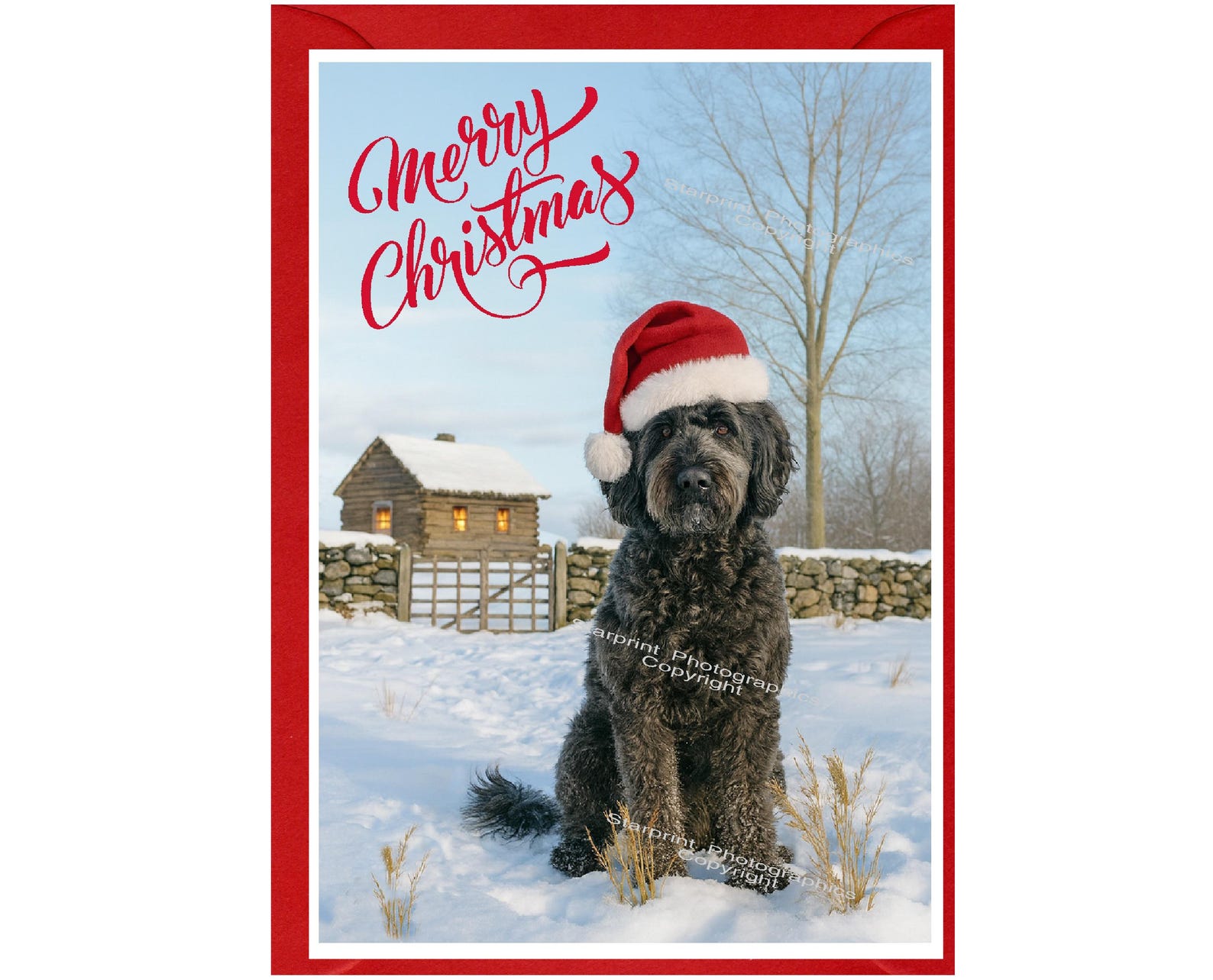 Labradoodle / Doodle Dog Christmas Card (6" X 4") Blank Inside - With ...
