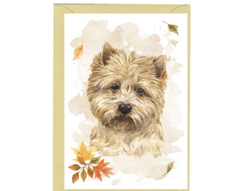Blank Card ideal Mothers Day 4"x 6" Valentines etc. Cairn Terrier Dog Blank Card ideal Mothers Day 4"x 6" Valentines etc. Cairn Terrier Dog