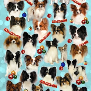 Carta da regalo natalizia Papillon Butterfly Dog. Perfetto per ogni amante dei cani. Rende quel regalo ancora più speciale