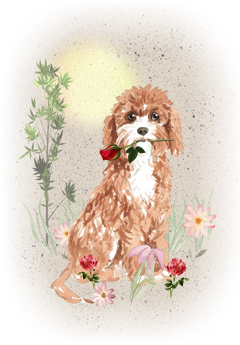 Cavapoo / Doodle Dog Blank Card /notelet 6 X 4 | Etsy