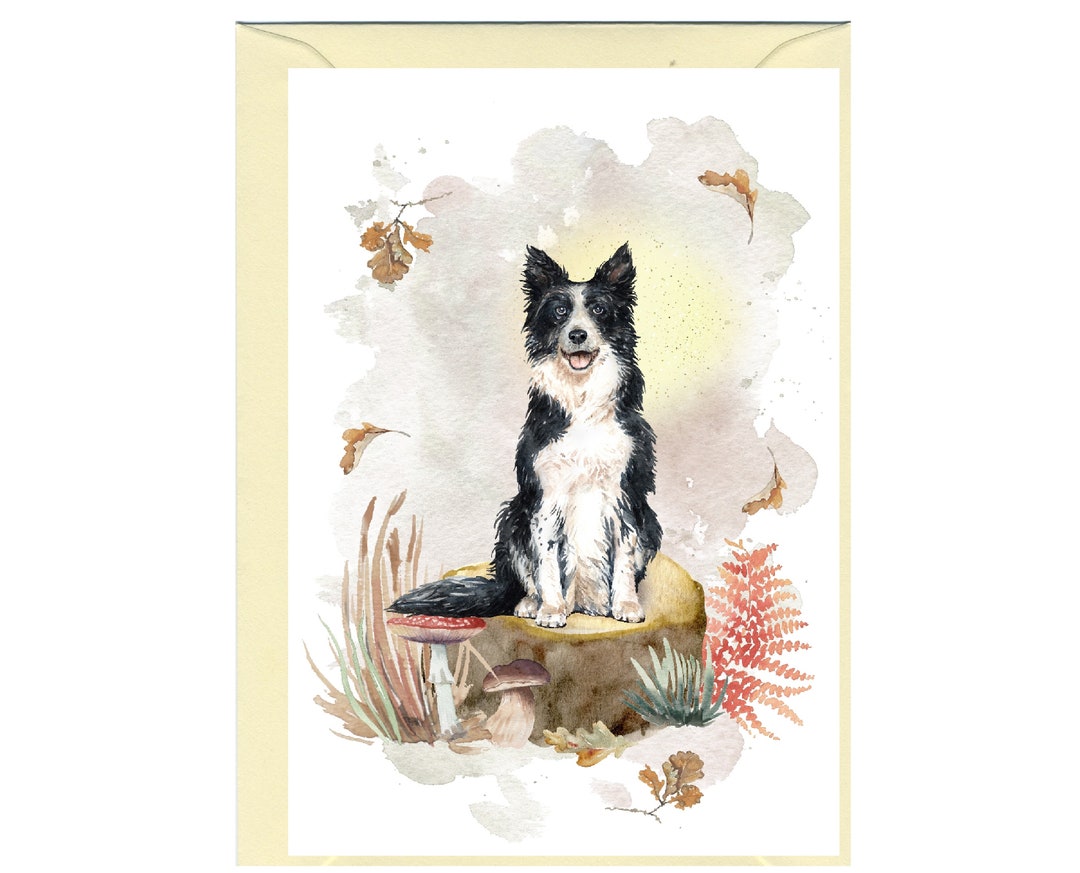 Personalised Border Collie Dog Greetings Card /notelet (6" X 4") With ...