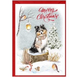 Shetland Sheepdog / Sheltie Weihnachtskarte, dreifarbig, 15 x 10 cm, innen leer - mit Umschlag. Perfekter Artikel für jeden Hundeliebhaber