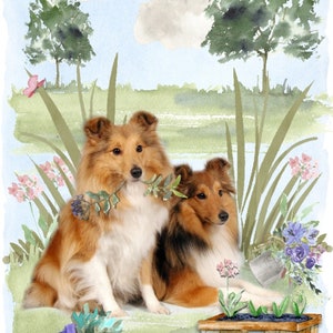 Carte vierge de chien de berger / Shetland / notelet (6 x 4 po.) avec enveloppe - conception de jardinier paysagiste. Article parfait pour tous les amoureux des chiens