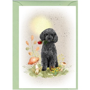 Tarjeta en blanco con forma de caniche (negro) o nota (6" x 4") con sobre. Ideal para el Día de la Madre, San Valentín, etc. Artículo perfecto para cualquier amante de los perros.
