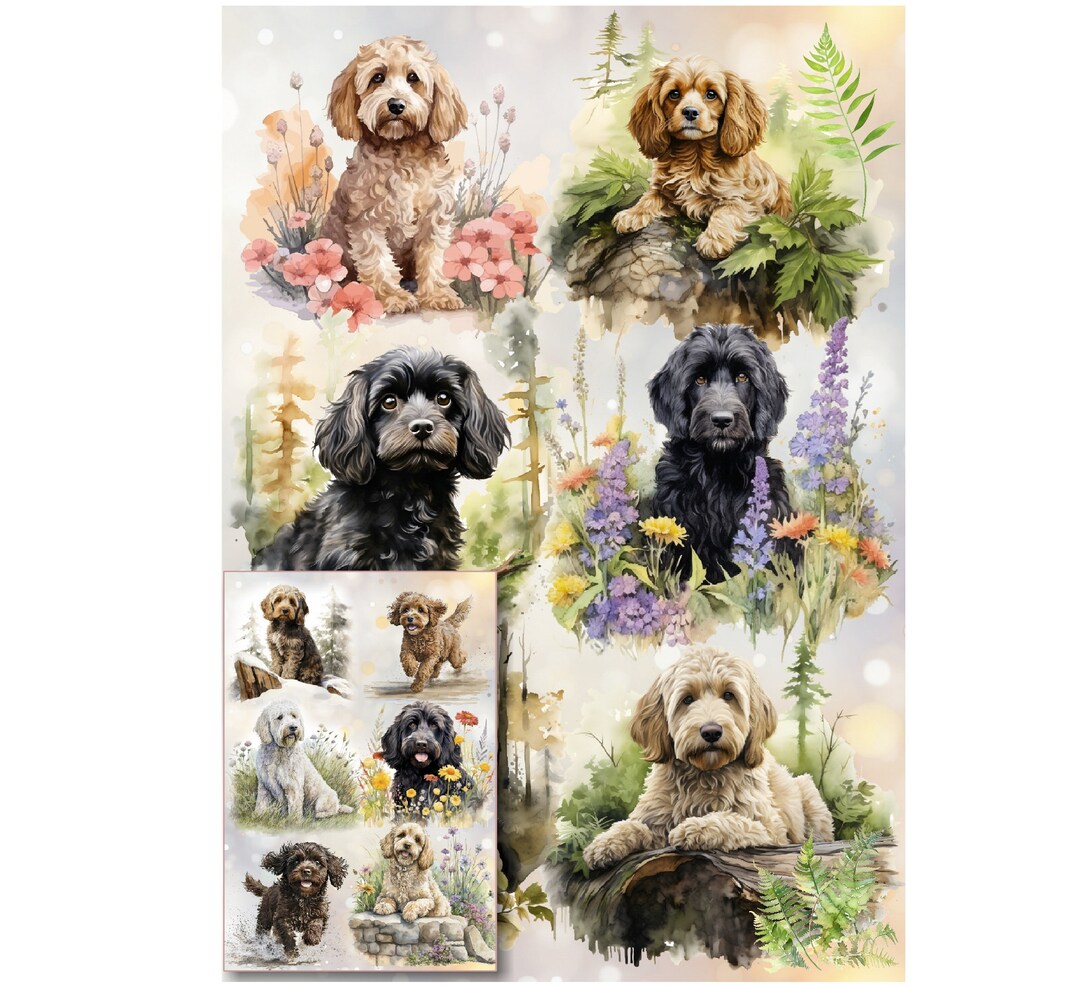 Doodle / Cockapoo / Labradoodle Dog Gift Wrapping Paper With Matching ...
