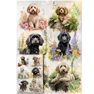 Papel de regalo para perros Doodle/Cockapoo/Labradoodle con tarjeta de regalo a juego: perfecto para cualquier amante de los perros. Haz que tu regalo sea aún más especial