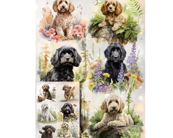 Doodle / Cockapoo / Labradoodle Dog Gift Wrapping Paper with matching Gift Card - perfect for any dog lover.  Make your gift extra special