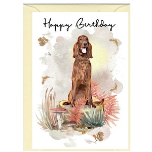 Irish Red Setter Hund ""Happy Birthday"" Karte (15,5 x 10,5 cm) mit Umschlag - Leere Innenseite für Ihre eigene Nachricht." Perfekt für jeden Hundefreund