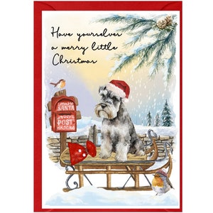 Carte de Noël pour chien schnauzer nain (6 x 4 po.) vierge à l'intérieur - avec enveloppe.  Article parfait pour tous les amoureux des chiens