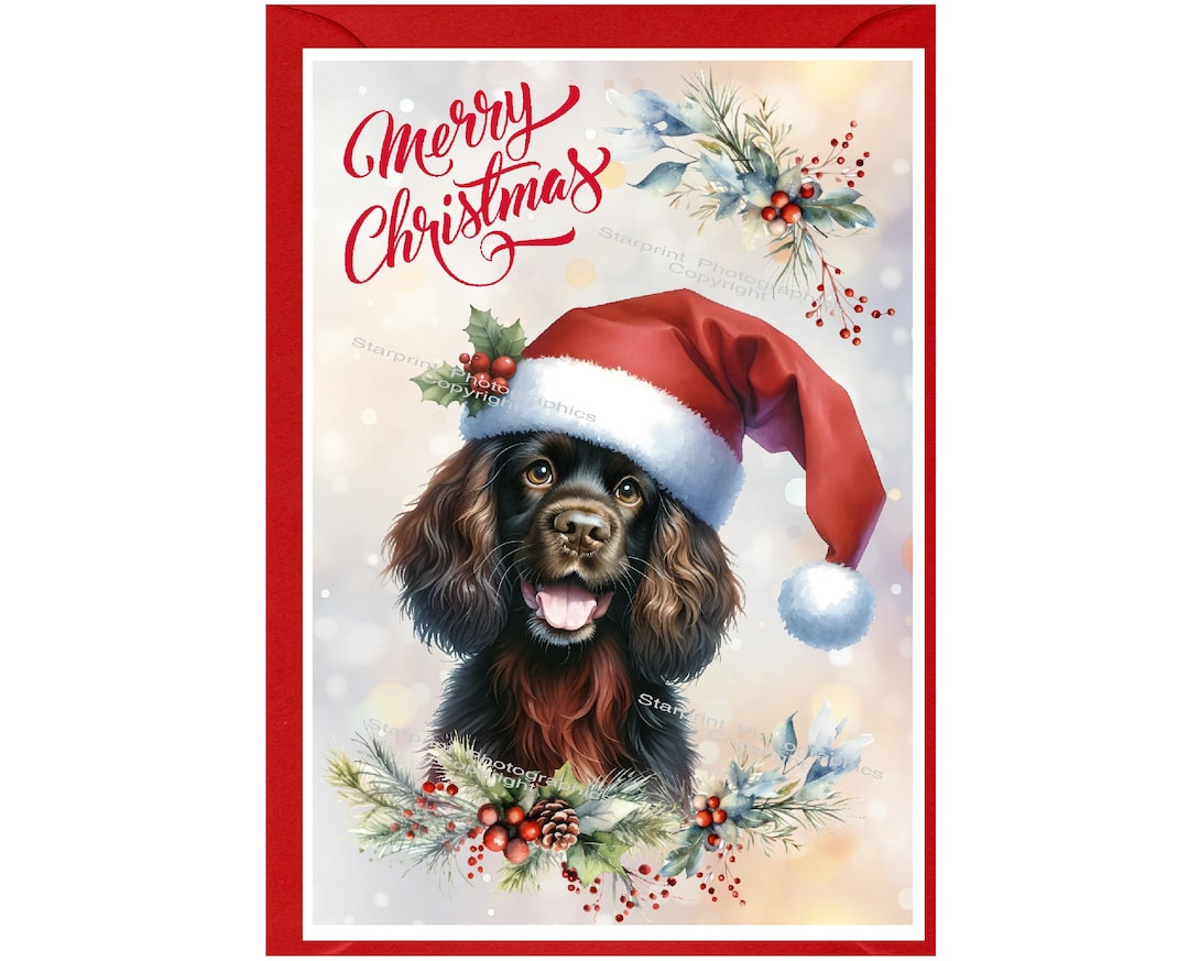 Cocker Spaniel Working Brown Dog Christmas Card (6" X 4") Blank Inside ...