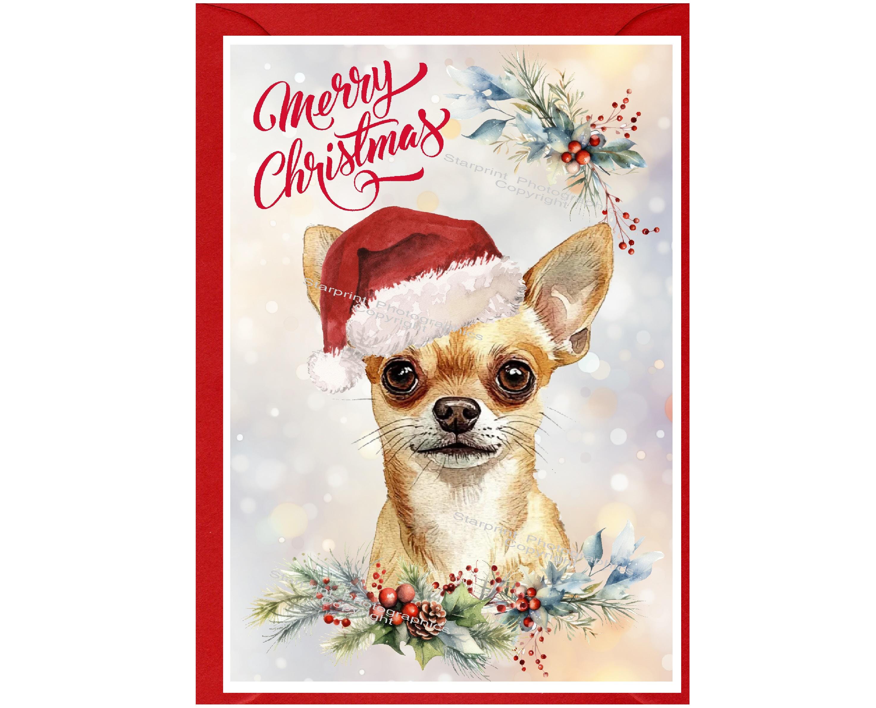 チワワのクリスマスカード（6インチ×4インチ）内側は白紙、封筒付き