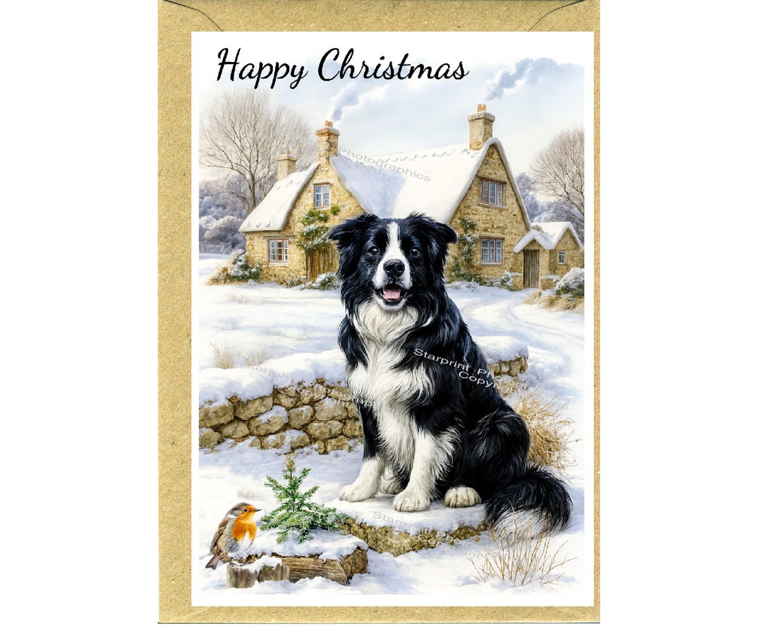 Border Collie Dog Christmas Card (6" X 4") Blank Inside - With Envelope ...