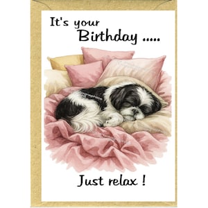 Könnte beinhalten: Geburtstagskarte mit einer Aquarellillustration eines schlafenden schwarz-weißen Hundes auf rosa Kissen. Auf der Karte steht: "It's your Birthday..... Just relax!"