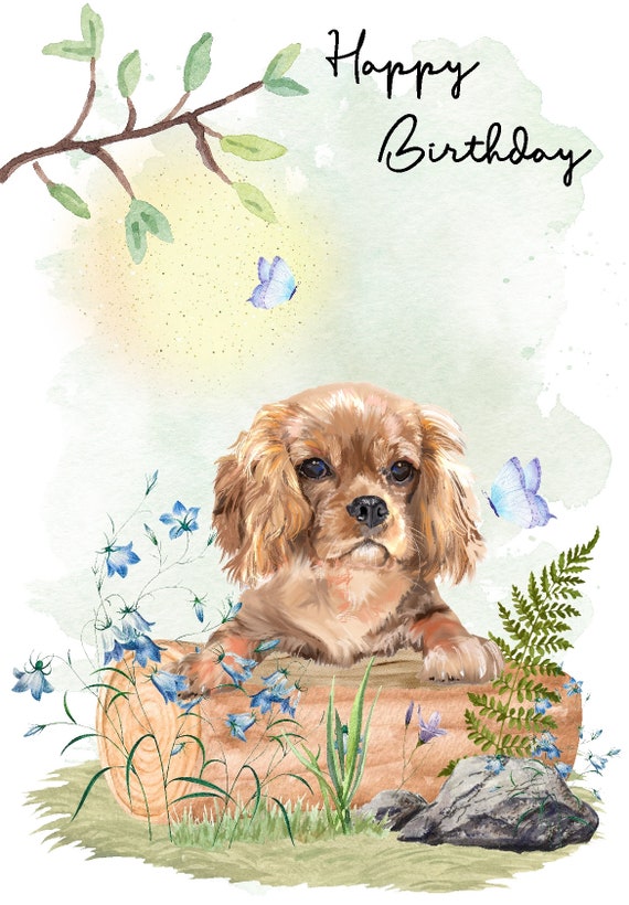 Cucciolo Di Cane Inglese Di Cocker Spaniel Molti Angoli E Visualizzare La Testa Posteriore Del Ritratto Isolata Su Un Png Trasparente 287080324