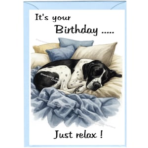 May include: A birthday card with a light blue border. The card features a watercolour illustration of a black and white dog sleeping on a bed of pillows and blankets. Text on the card reads "It's your Birthday..... Just relax!"