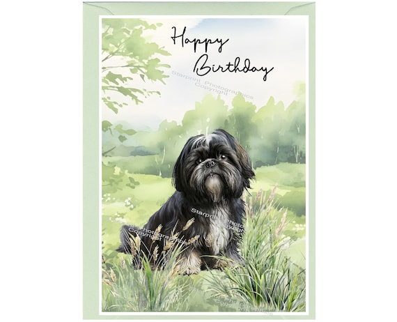 Shih Tzu Dog Portrait In Red Bow Tie Poster - View #5