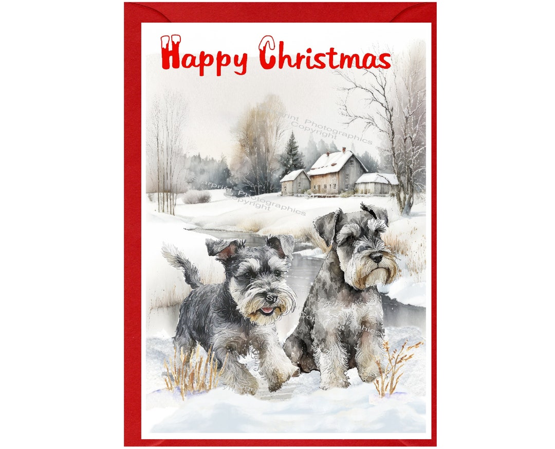 Miniature Schnauzer Dog Christmas Card (6" X 4") Blank Inside - With ...
