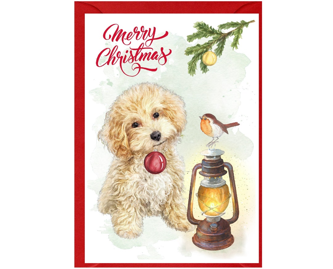 Maltipoo / Mixed Breed / Doodle Dog Christmas Card (6" X 4") With ...