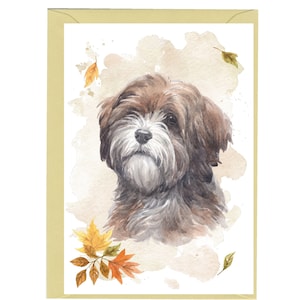 Biglietto/biglietto vuoto con Terrier Tibetano (15x10 cm) con busta. Articolo perfetto per ogni amante dei cani.