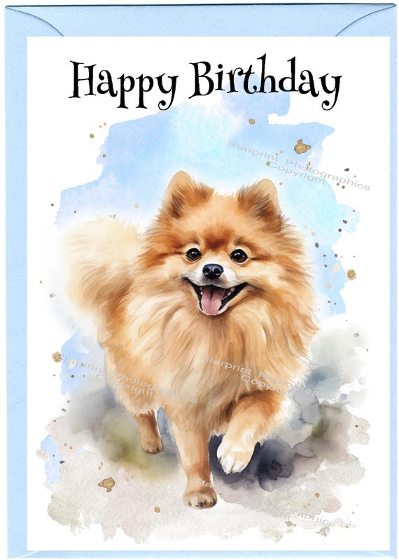 Biglietto Di Auguri Per Compleanno Con Cane Pomerania - Simpatico E Adorabile - Formato 145mm X 145mm - Prodotto In UK Su Carta Riciclata FSC