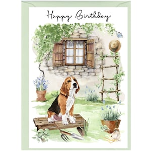 Carte « Joyeux anniversaire » chien Beagle (6 x 4 po.) avec enveloppe - Vierge à l'intérieur pour votre propre message. Parfait pour tous les amoureux des chiens