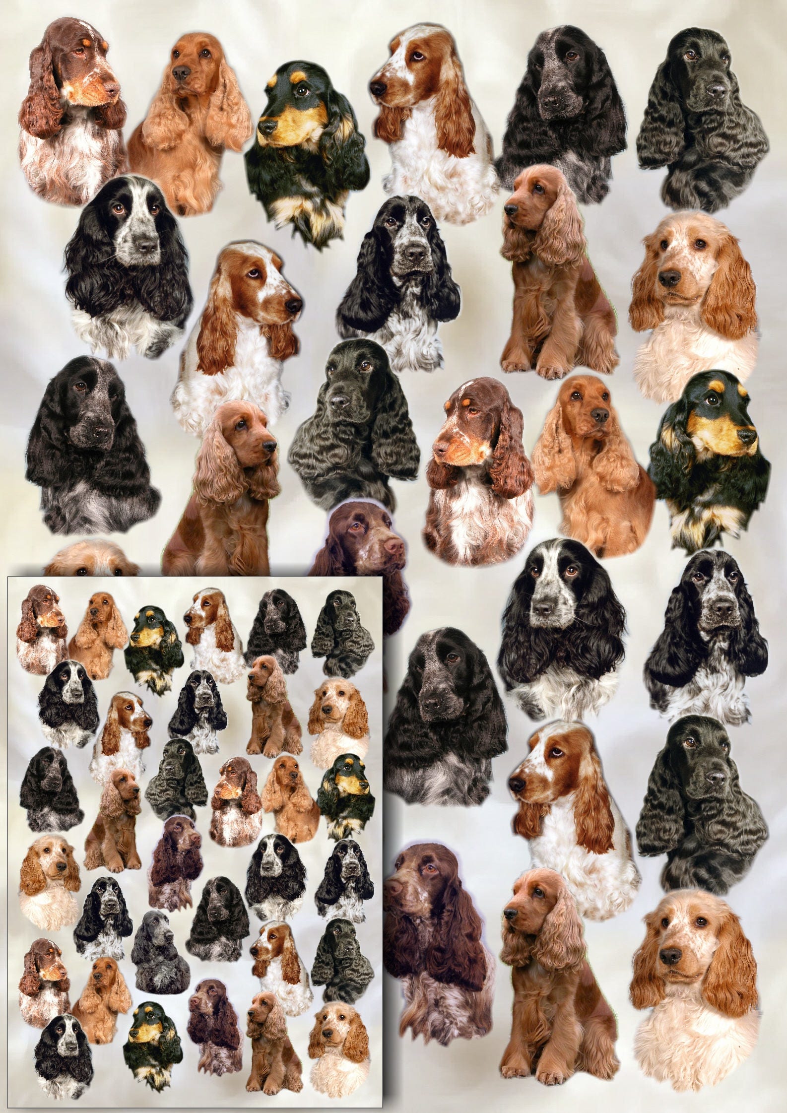 Cocker Spaniel Dog Gift Wrapping Paper With Matching Gift Card - Etsy UK