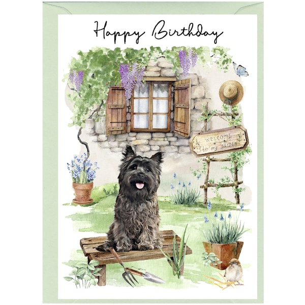 Cairn Terrier Dog "Happy Birthday" Card (6" x 4") with Envelope - Blank inside for your own message. Perfect for any dog lover