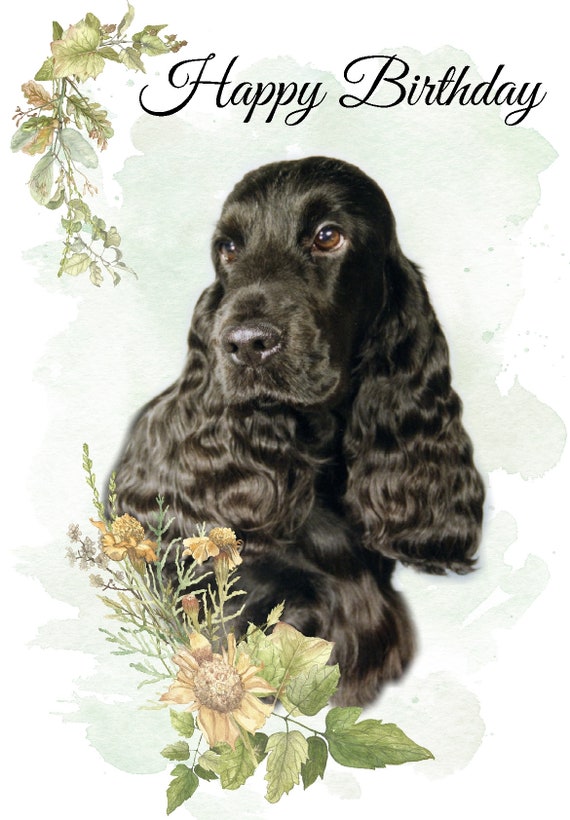 Carte Postale Cocker - Mother Cocker