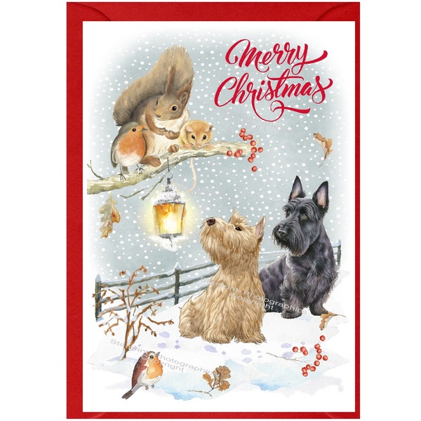 Scottish Terriers / Scottie Dogs Christmas Card (6" x 4") Blank inside - with Envelope.  Perfect item for any Dog Lover