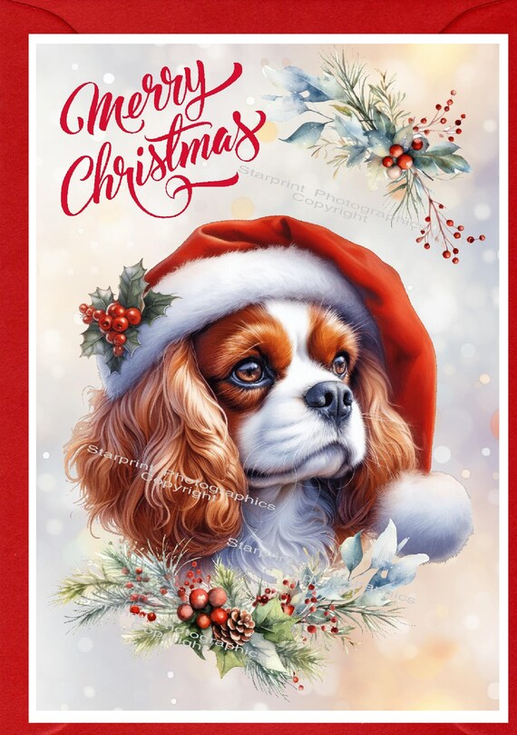 Cavalier king charles items deals