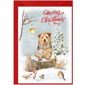 Tarjeta de Navidad para perros Norfolk Terrier (6" x 4") Interior en blanco - con sobre. Artículo perfecto para cualquier amante de los perros.
