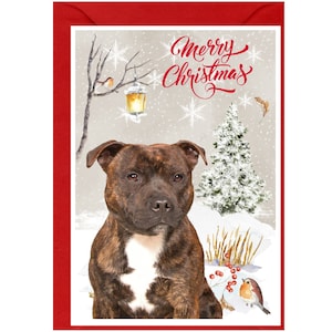 Carte de Noël pour chien Staffordshire Bull Terrier (6 x 4 po.) vierge à l'intérieur - avec enveloppe.  Article parfait pour tous les amoureux des chiens