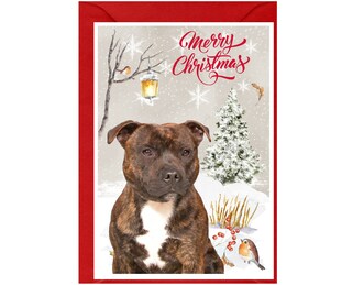 Allynn's Biglietti Di Natale Divertenti Con Carlino – 20 Biglietti + 21 Buste – Bah Humpug!