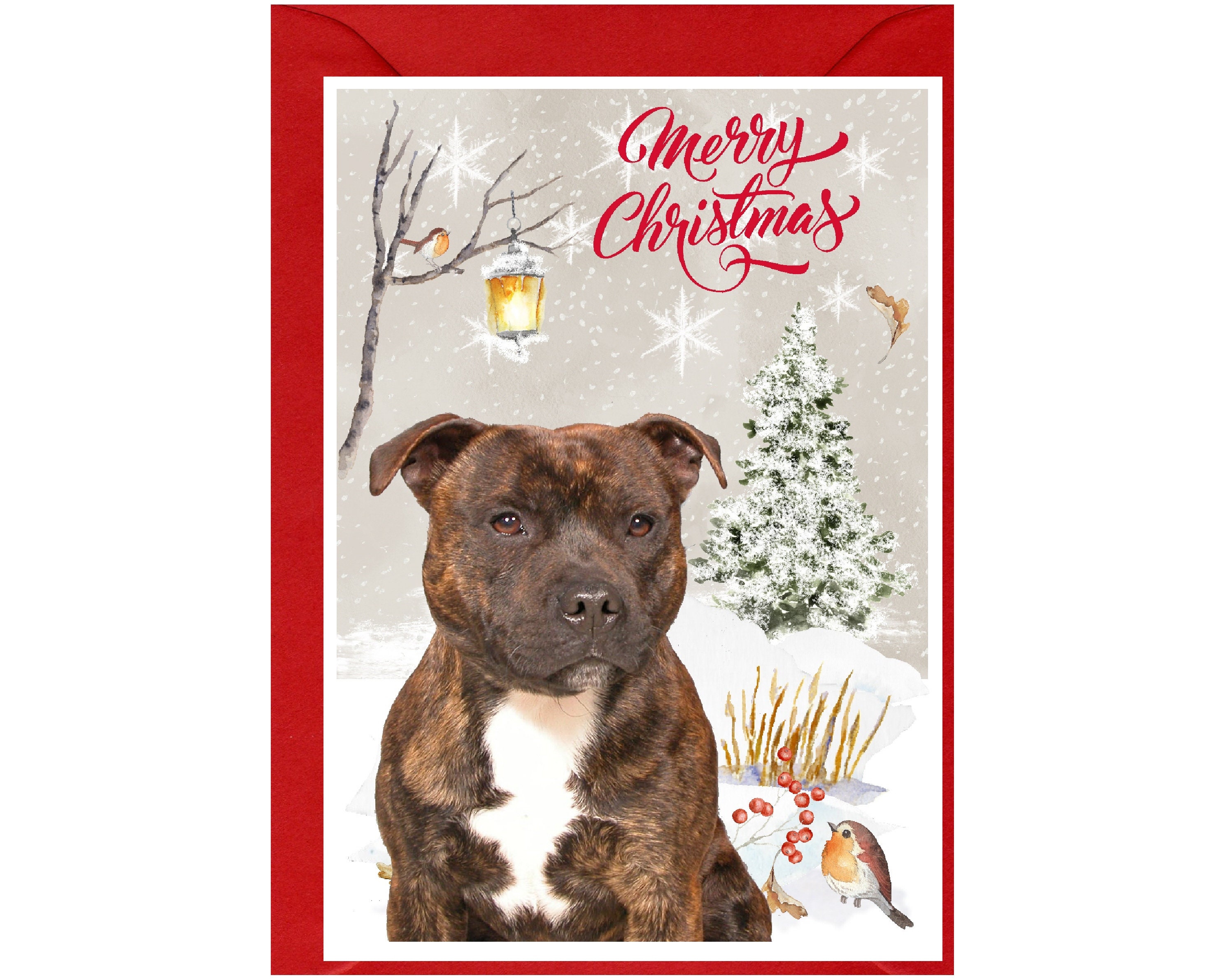 Allynn's Biglietti Di Natale Divertenti Con Carlino – 20 Biglietti + 21 Buste – Bah Humpug!