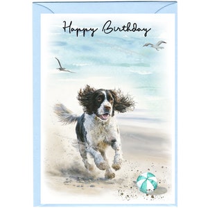 Biglietto "Happy Birthday" per cane Springer Spaniel Inglese (6"x 4") con busta. Vuoto all'interno per il tuo messaggio. Perfetto per ogni amante dei cani