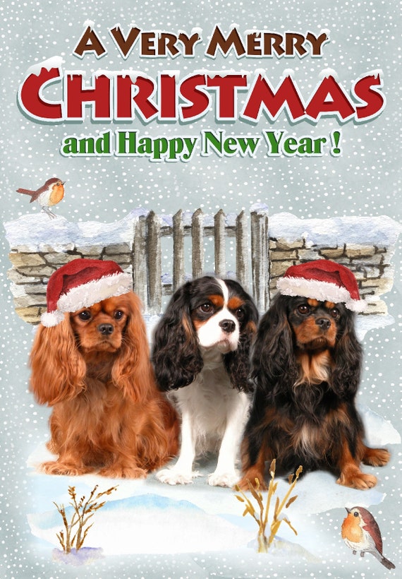 Cavalier king charles items hotsell