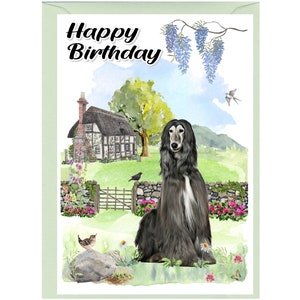 Carte « Joyeux anniversaire » chien lévrier afghan (6 x 4 po.) avec enveloppe - vierge à l'intérieur pour votre propre message. Parfait pour tous les amoureux des chiens