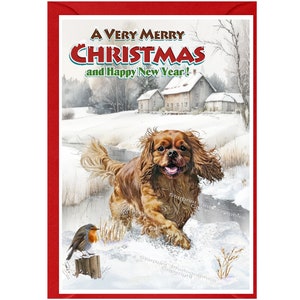 Cartão de Natal Cavalier King Charles Spaniel Ruby Dog (6" x 4") Interior em branco - com envelope. Item perfeito para qualquer amante de cães
