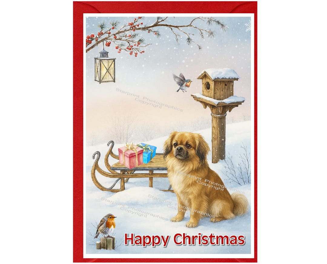 Tibetan Spaniel Dog Christmas Card (6" X 4") Blank Inside - With ...