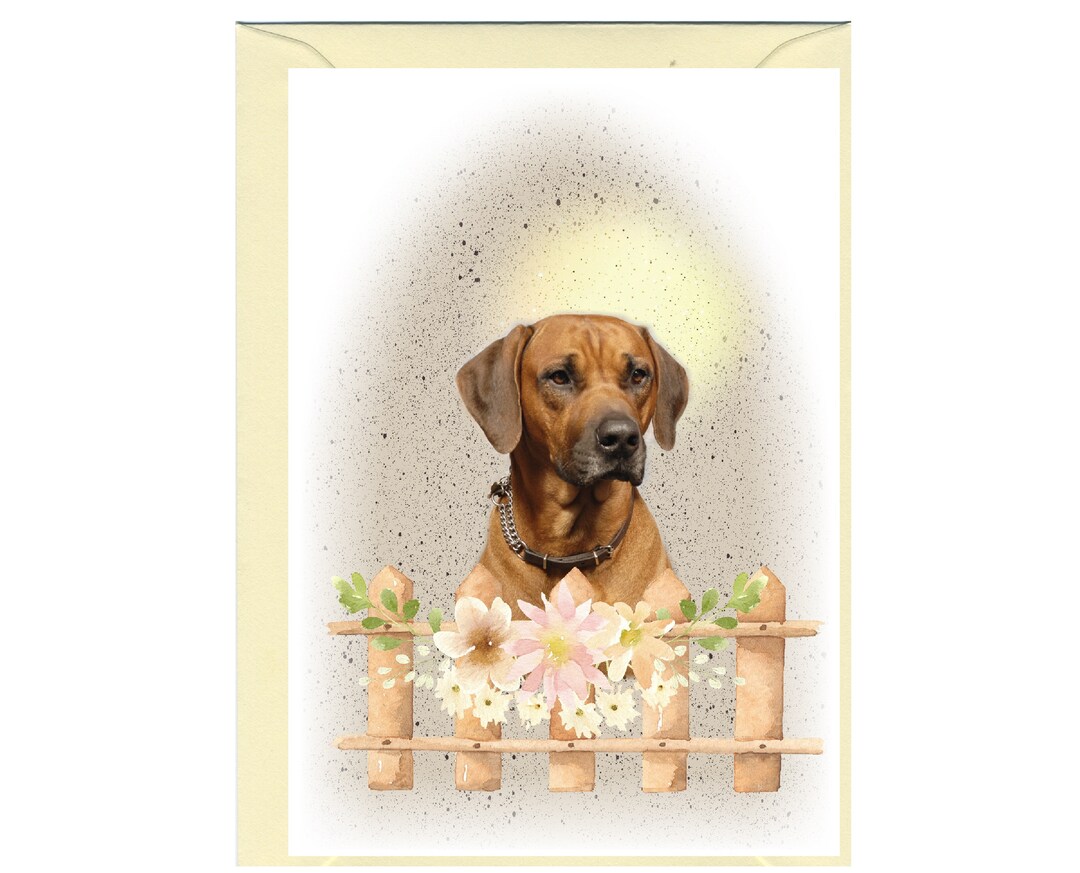 Rhodesian Ridgeback Dog Blank Card /notelet (6