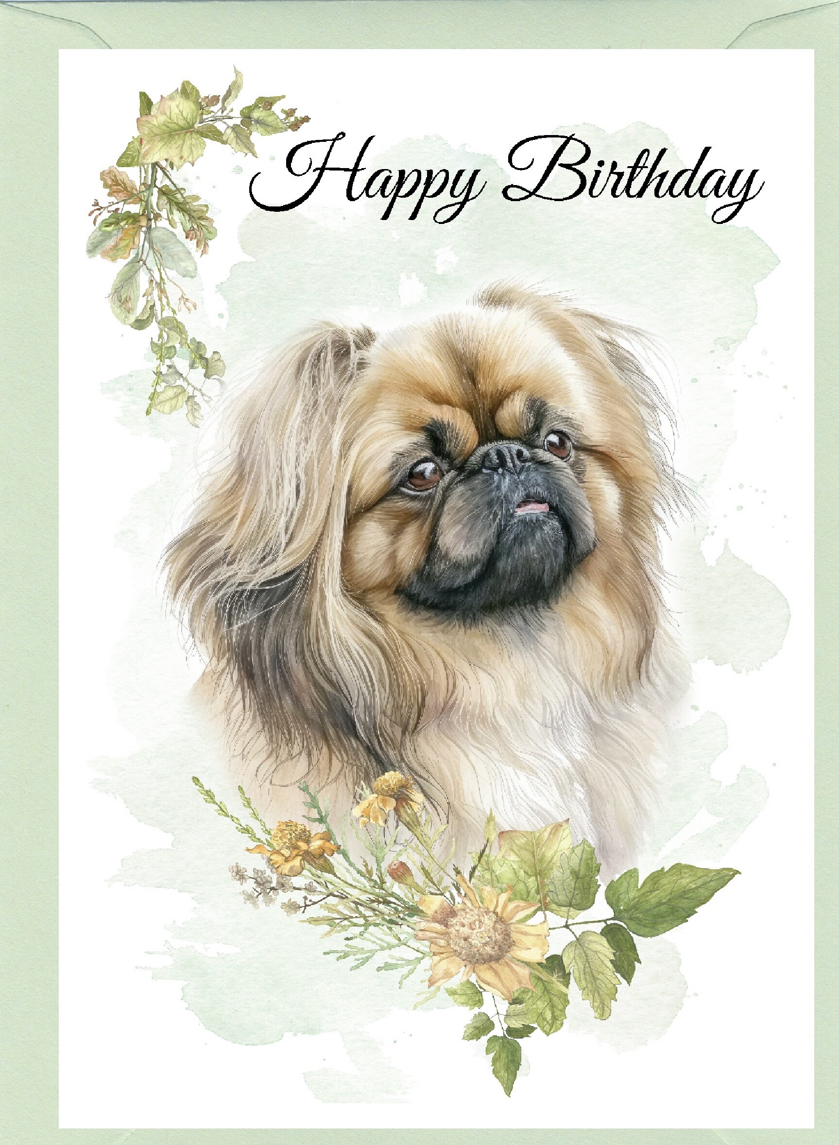 Pekingese / Peke Dog 
