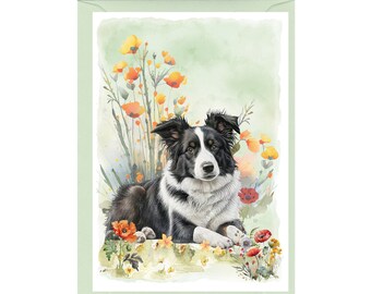 Geburtstagskarte Mit Border Collie – 145 X 145 Mm, Inkl. Umschlag
