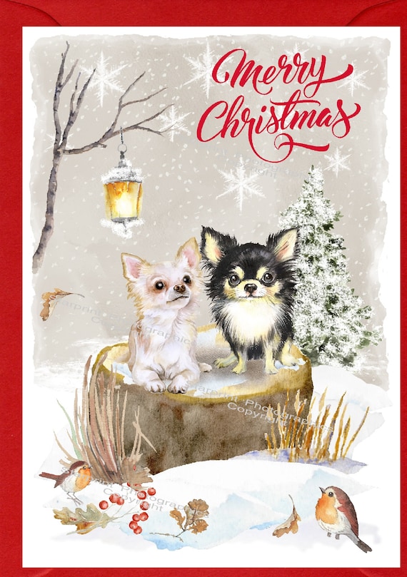 チワワのクリスマスカード（6インチ×4インチ）内側は白紙、封筒付き
