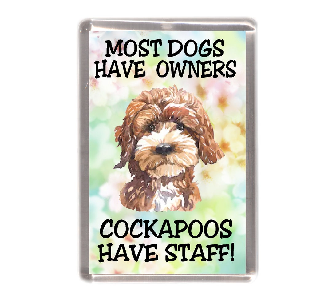 コッカプー / ドゥードゥル ドッグ 冷蔵庫マグネット -  ほとんどの犬には飼い主がいますが、コッカプーには飼い主がいます。犬好きの方へのプレゼントに最適です。 - Etsy 日本, image size:1080x968
