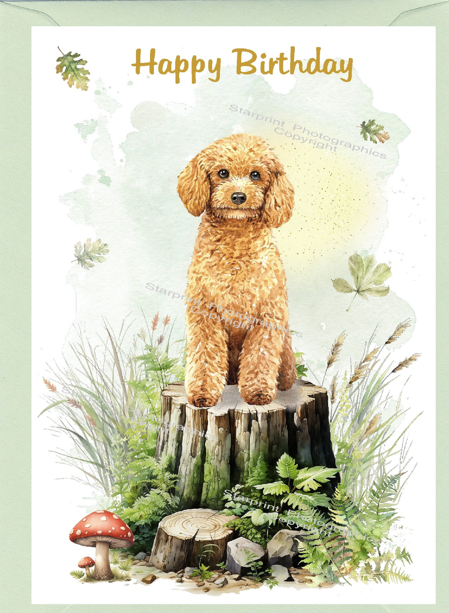Biglietto Di Compleanno Per Lei Con Cucciolo Di Cockapoo E Uccelli, Design Giardino, Lamina Argentata, Inserto Illustrato, 190x140 Mm, Jonny Javelin UK - 3
