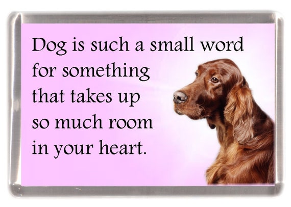 Irish Red Setter Dog Fridge Magnet 