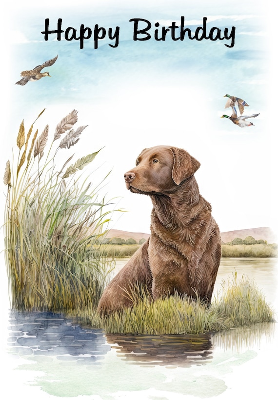 Marsh top puppy jewelry