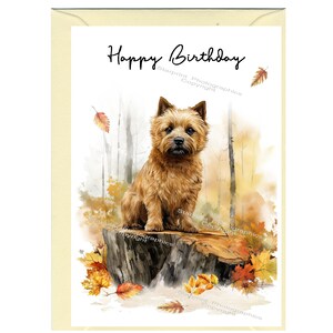 Norwich Terrier-kaart "Happy Birthday" (6" x 4") met envelop - blanco binnenkant voor je eigen bericht. Perfect voor elke hondenliefhebber